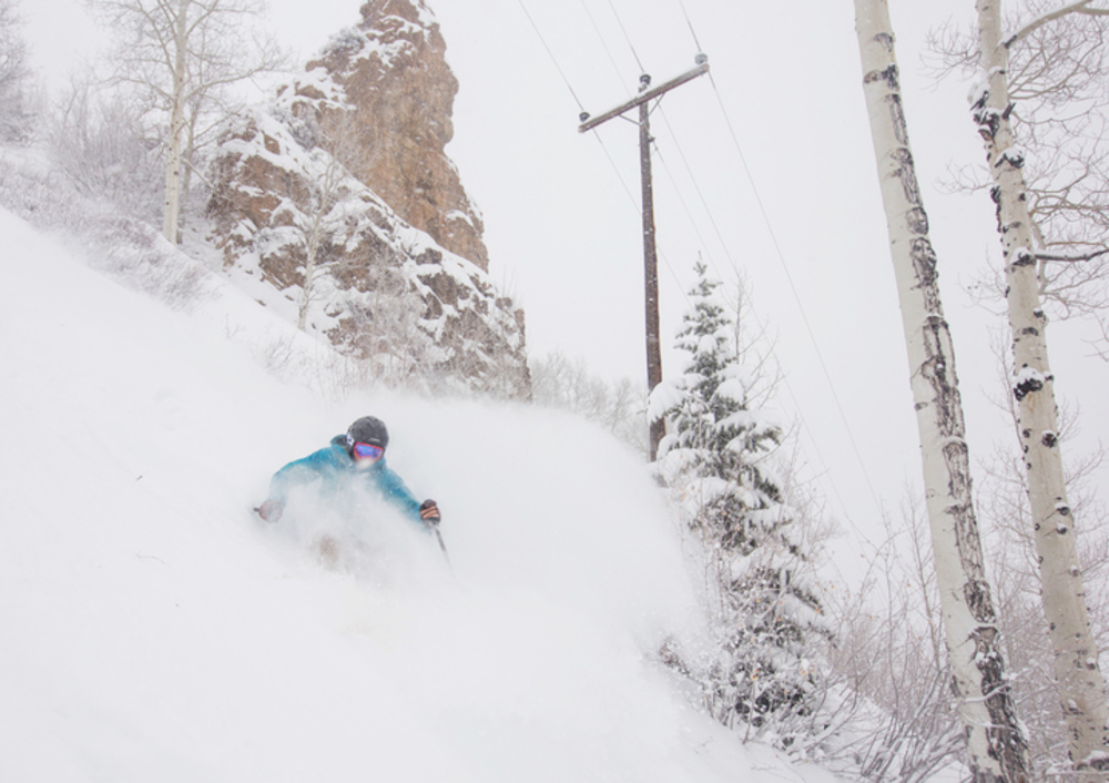 Tree skiing Canadian Trees - Tsai