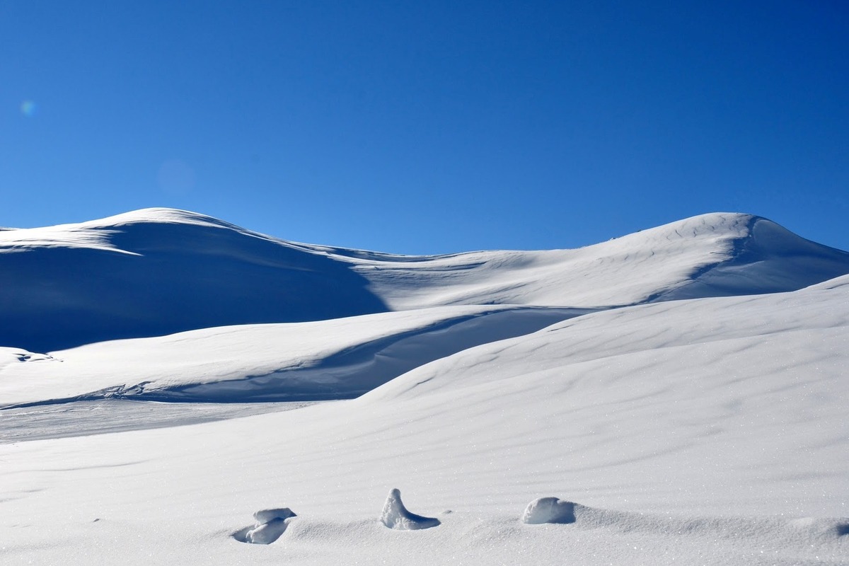 Resort guide Plan Peisey: maps, restaurants & information